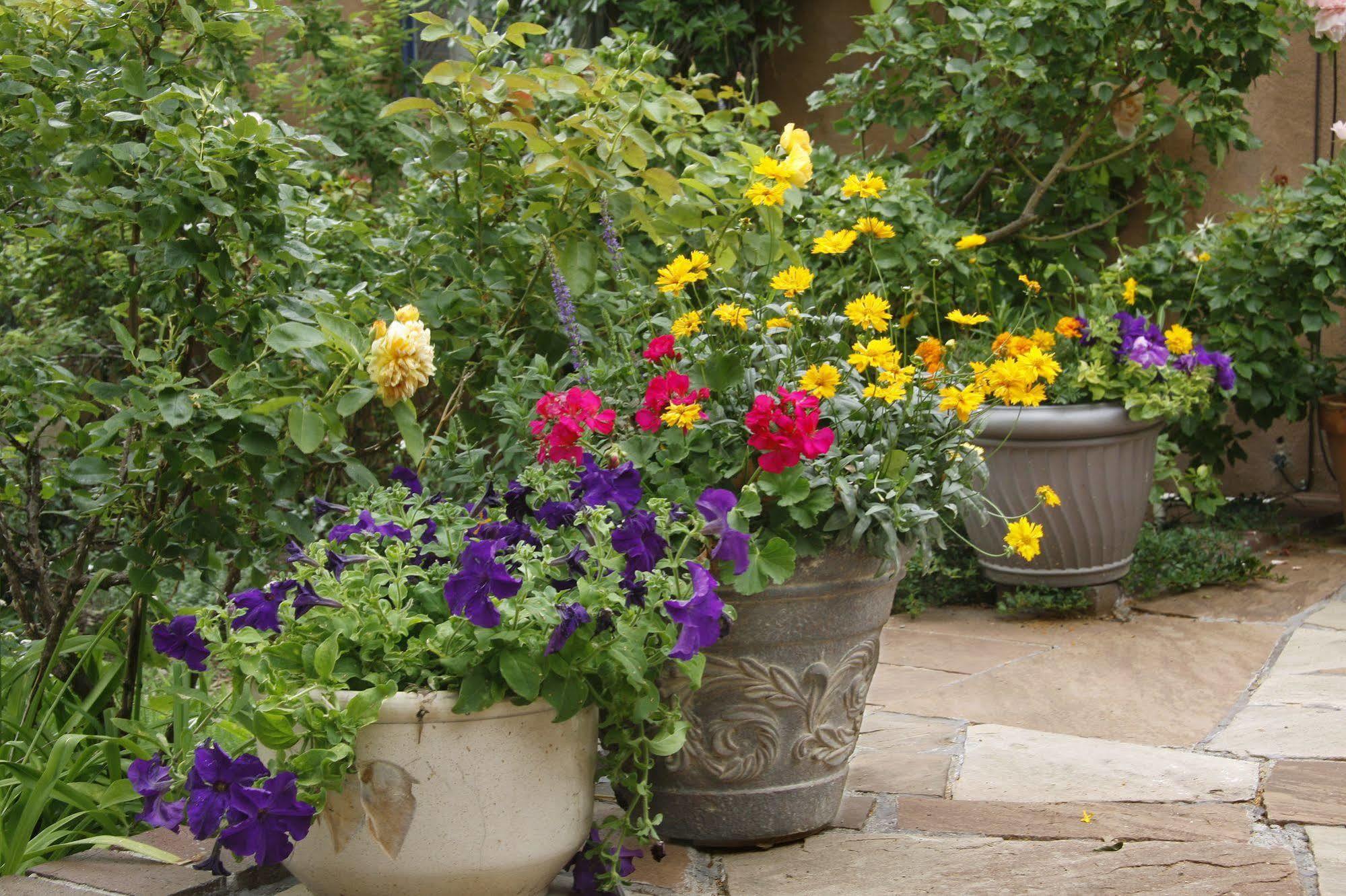 The Madeleine Bed & Breakfast Inn Santa Fe Zewnętrze zdjęcie